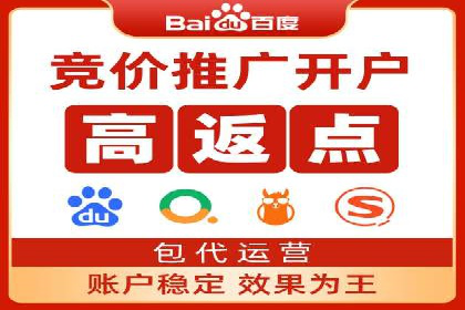 百度推广费用策略在竞争激烈市场的应用案例